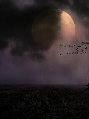 Mage of Shadows