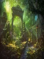 A plant's life