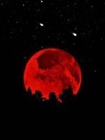 How An Ordinary Company Slave Became The Vampire Prince Of Darkness