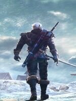 the witcher