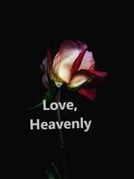 My Dear Alex and Belle, Love Heavenly