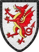 The Dragonfyre dynasty