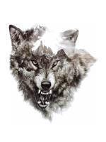 The Wolf of The North