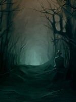 The Woods Of Night