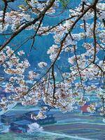 Then comes spring when winter ends