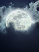 Under the Full Moon's Light