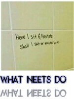 WHAT NEETs DO