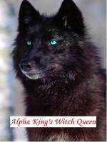 Alpha King's Witch Queen