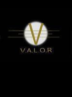 Systems Of Valor