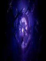 The Arcane Dimension