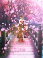 The Lady from the Heavenly Lotus Tea-House