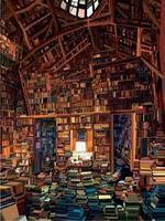 The modern life of an ancient bookworm
