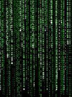 The Hack System