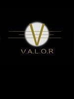 Valor System