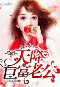 Hidden Marriage: A Heaven-sent Billionaire Husband