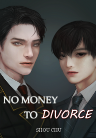 No Money to Divorce