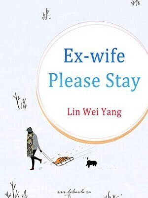 Ex-wife, Please Stay