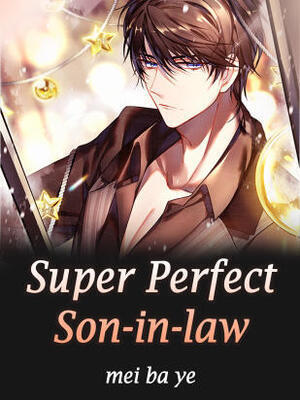 Super Perfect Son-in-law