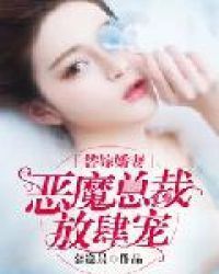 Surrogate wife:Devil CEO's passionate love