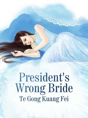 CEO's Wrong Bride