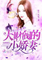 Hidden Marriage Sweet Pampering: The Conglomerate's Little Wife (My Hidden Wife is Sweet)