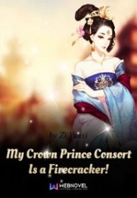 My Crown Prince Consort Is a Firecracker! – VipNovel