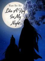 Like a Ray in My Night